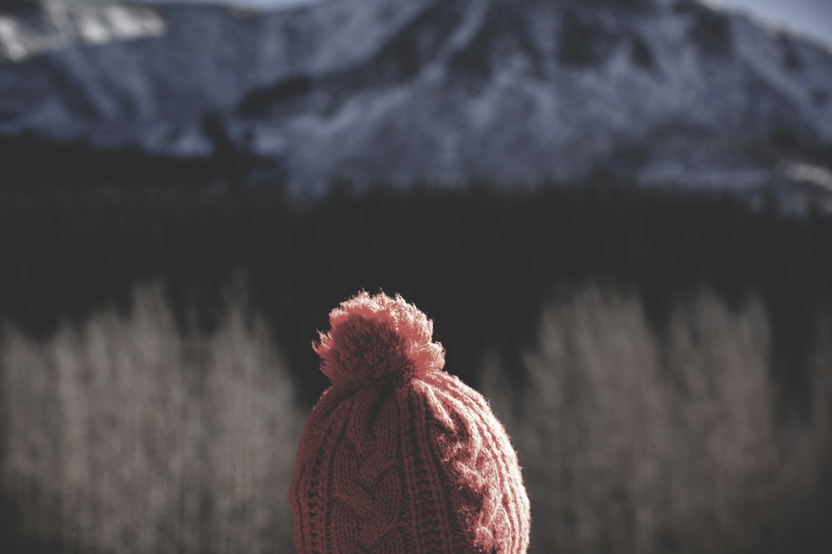 Foto di Jason Abdilla su Unsplash