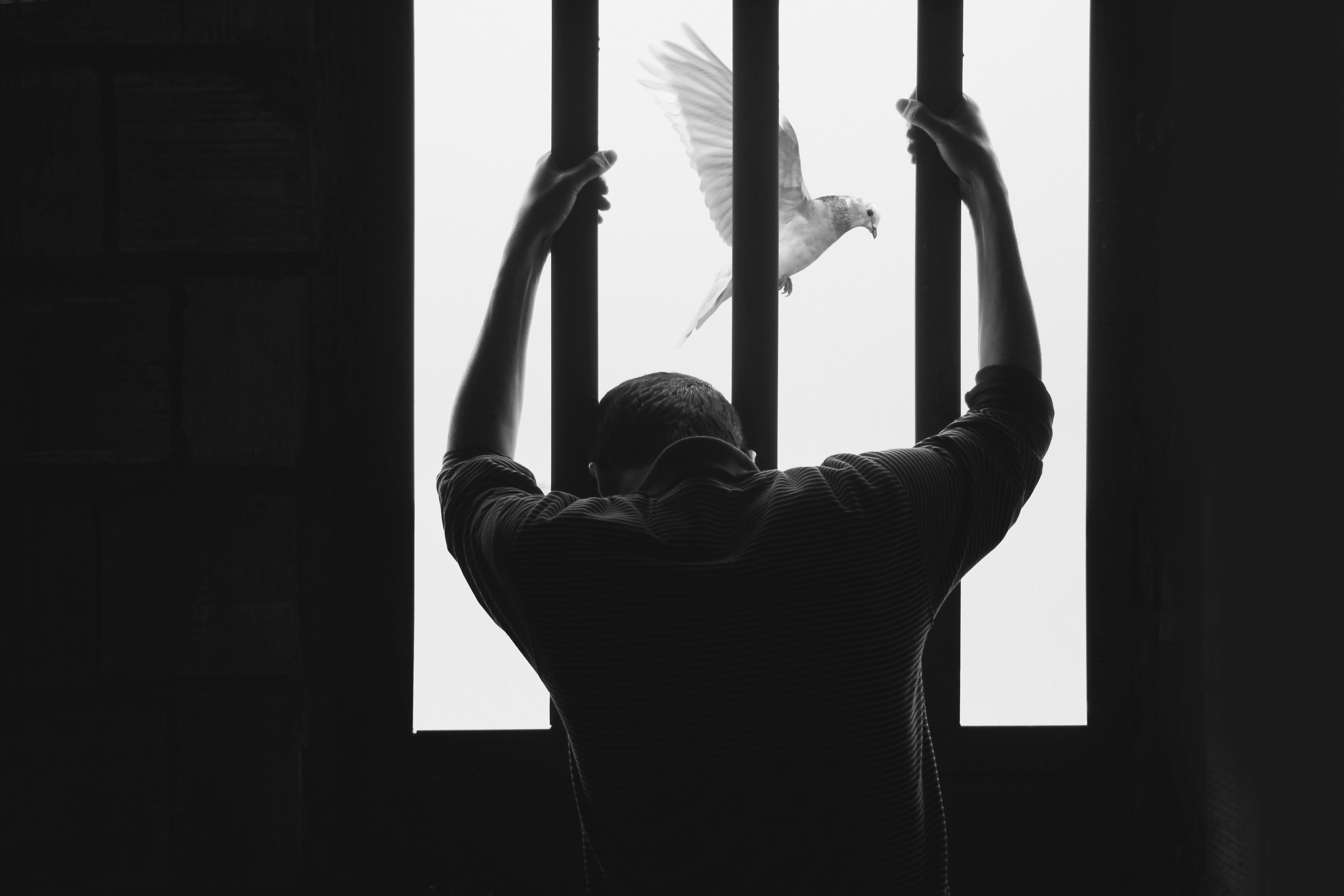 Foto di Hasan Almasi su Unsplash